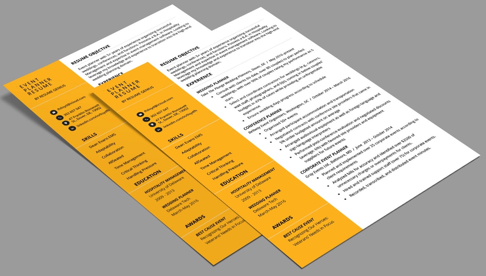 Attractive Resume of Event Planner