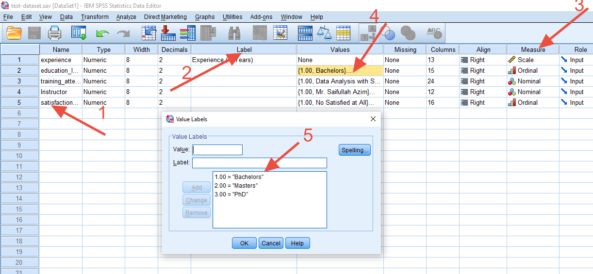 Setting up variables in Variable View of SPSS