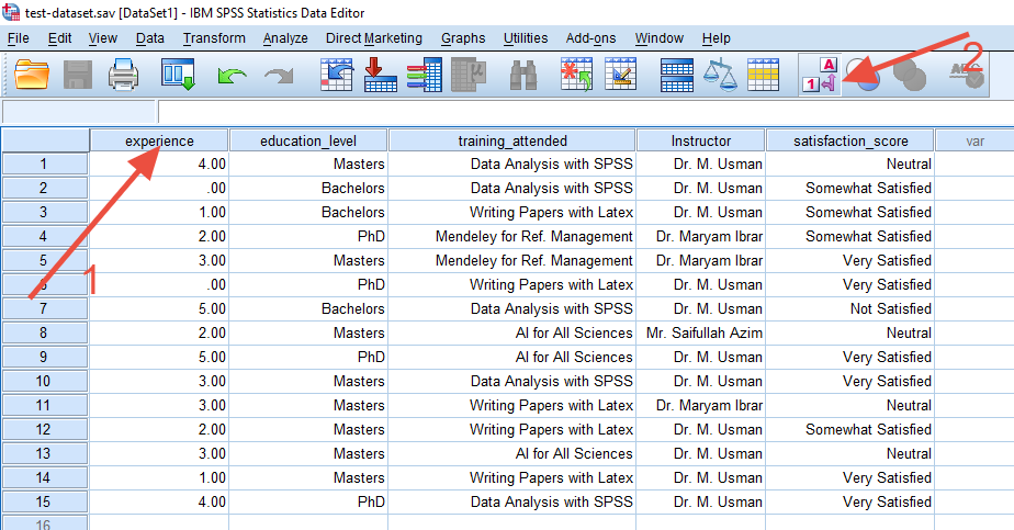 Entering data into SPSS Data View